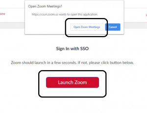 11 Zoom Launch Prompt.jpg