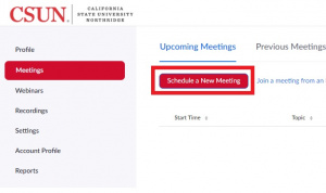 1 Schedule meeting.jpg